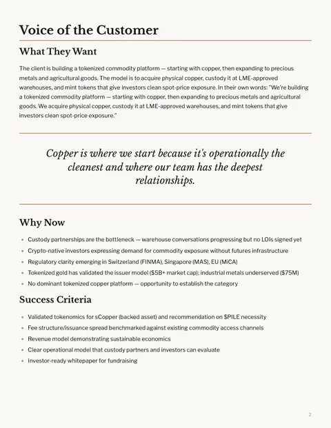 A page of the Stockpile project charter headed Voice of the Customer, with a pulled quote set in italic.